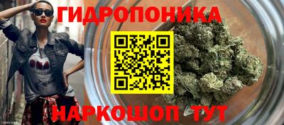 гашик Малгобек