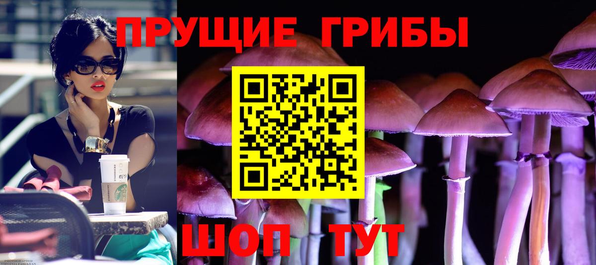 Галлюциногенные грибы мухоморы  Вход с VPN  наркошоп  Волгоград  Псилоцибиновые грибы ЛСД 